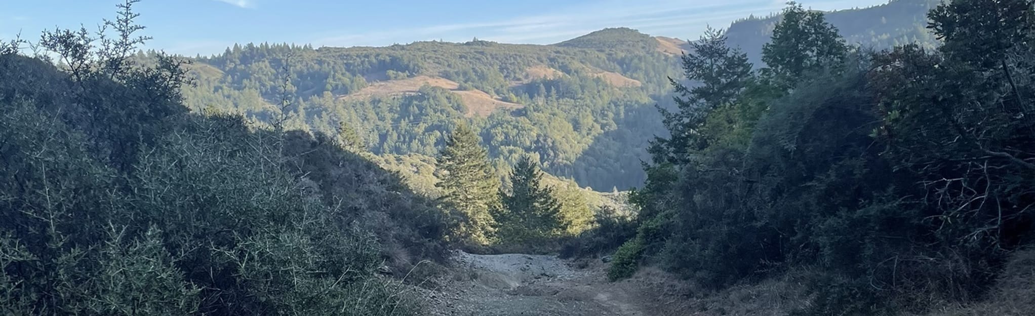 Willis Evans, San Geronimo Ridge, and East Sylvestris Fire Road Loop