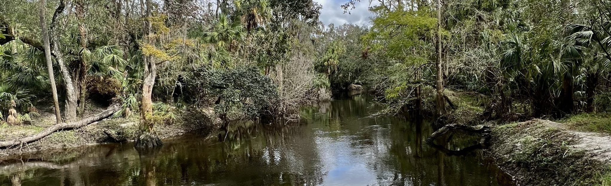 Alafia River Paddle Route: 25 Reviews, Map - Florida  AllTrails