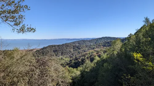 China camp state park mountain online biking