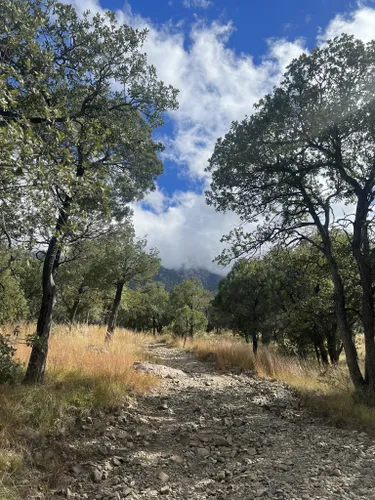 green valley mountain bike trails