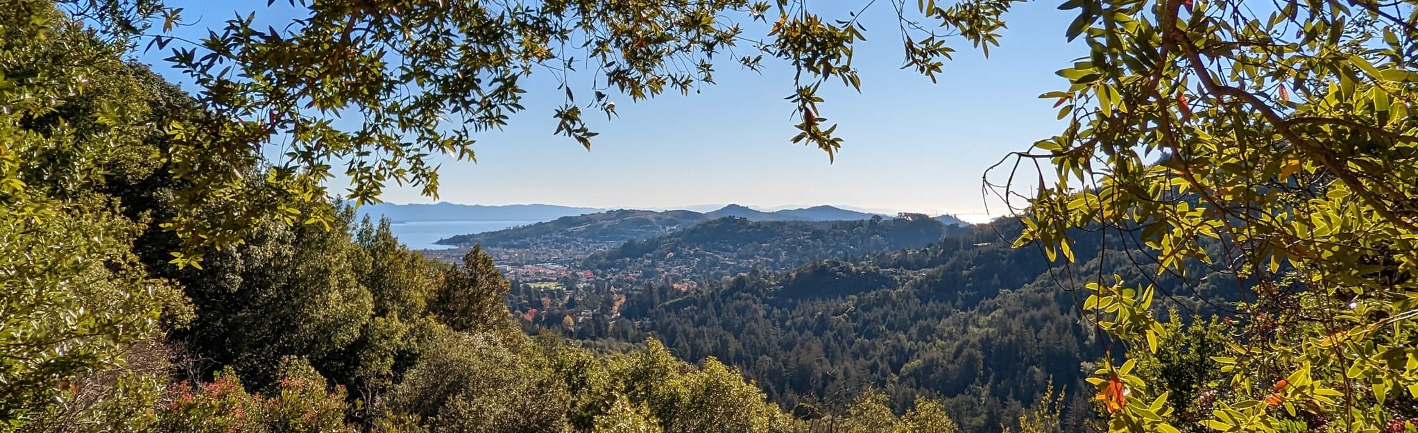 Dawn Falls and King Mountain Loop 2 525 Photos Californie Randonnée AllTrails