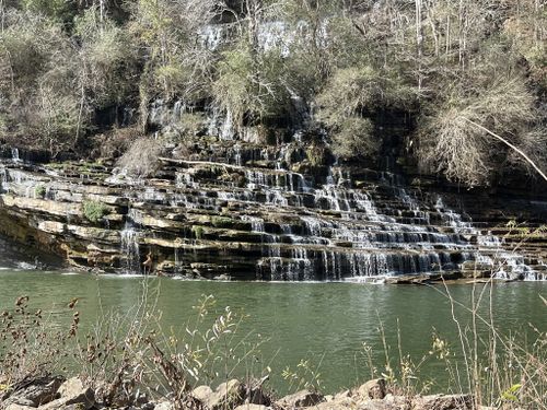 are dogs allowed at rock island state park