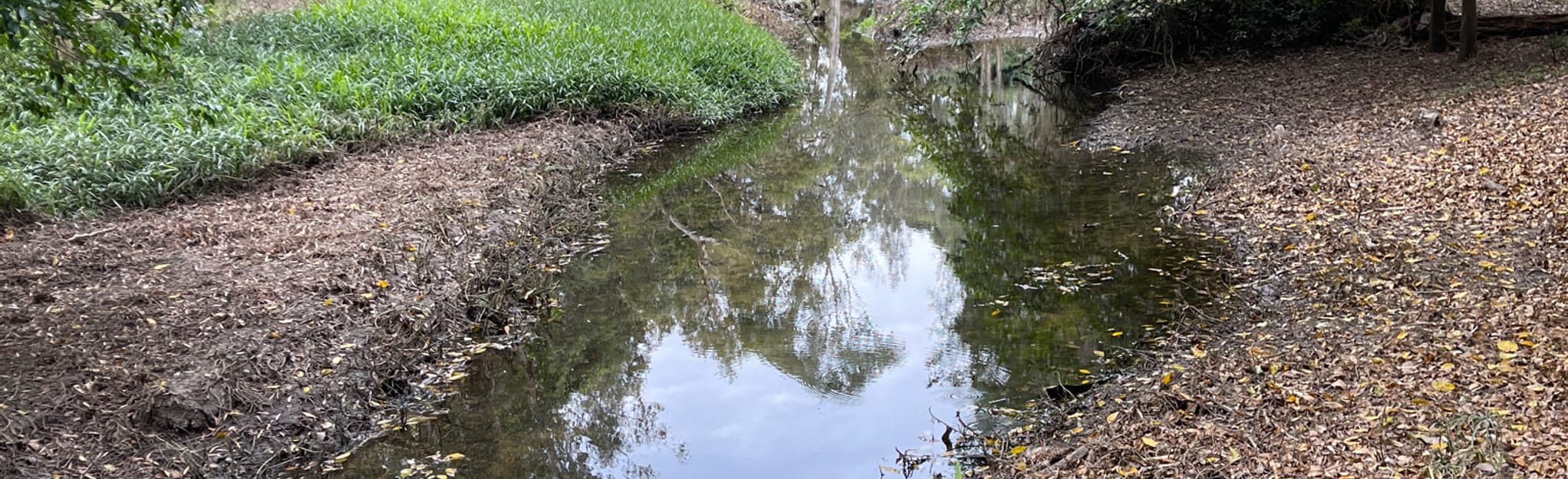 Edenbrooke Park 25 Reviews, Map Queensland, Australia AllTrails