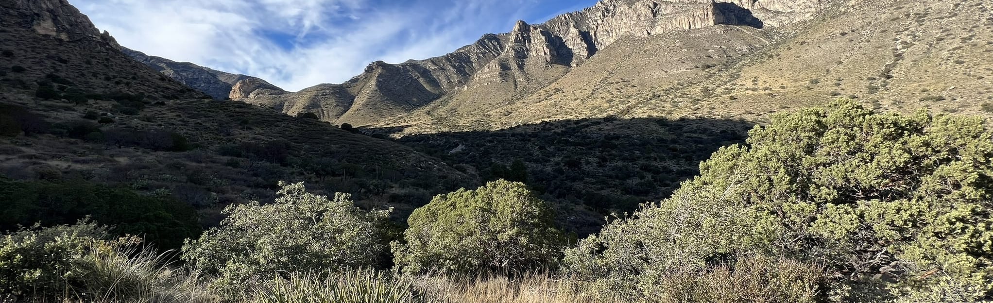 Guadalupe Peak Trail 5376 Reviews, Map Texas AllTrails