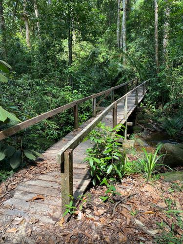 2023 Best Trail Running Trails in Santubong National Park | AllTrails