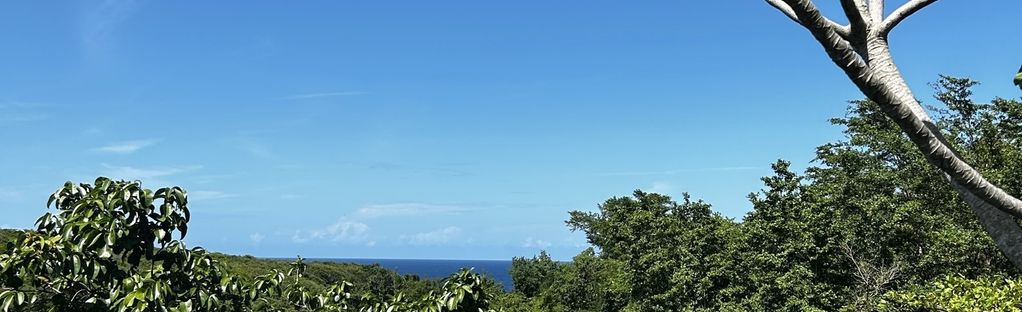 Ruinas de Puerto Hermina