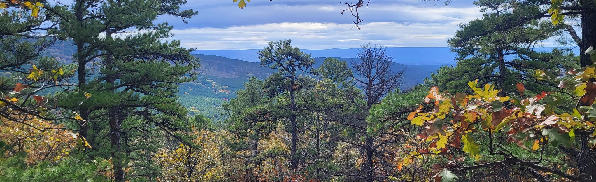 Ouachita Bohannon Trail 126 Reviews, Map Oklahoma AllTrails