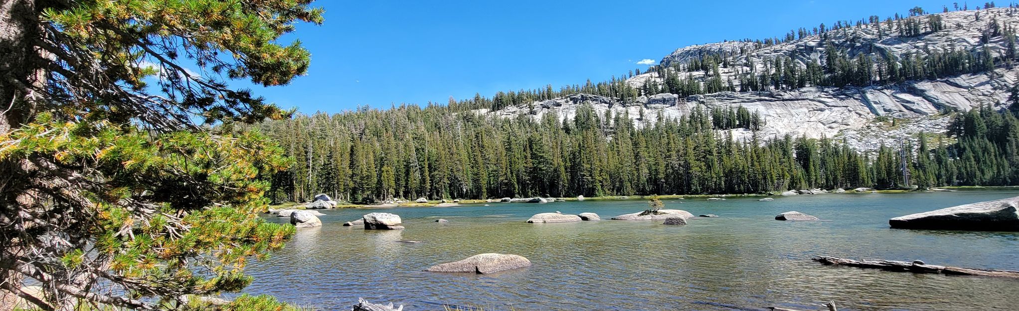 Polly Dome Lakes, California - 155 Reviews, Map | AllTrails