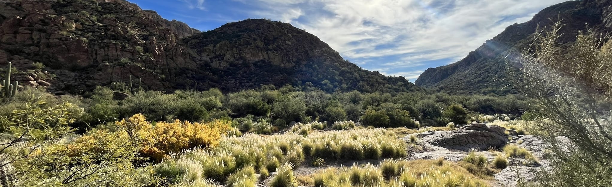 La Barge Boulder Canyon Loop Trail, Arizona 48 Reviews, Map AllTrails