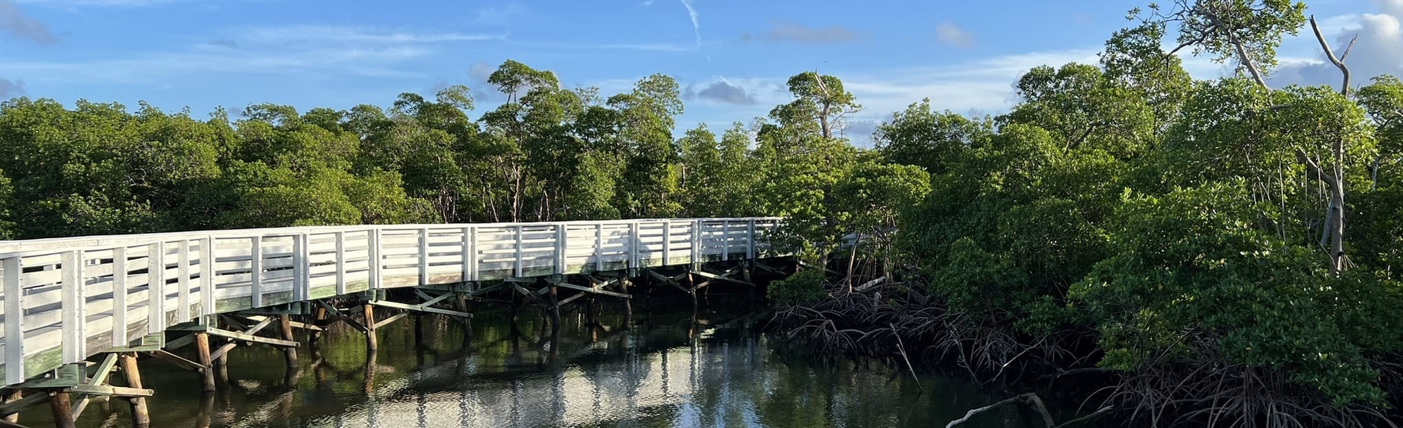Lake Observation and Mud Flat Trail, Florida 60 Reviews, Map AllTrails