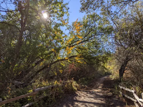 10 Best Hikes and Trails in Wildcat Canyon Regional Park | AllTrails