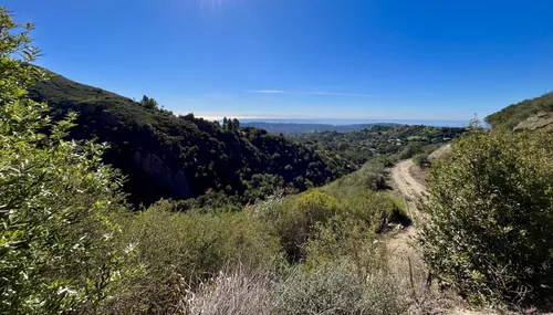 10 Best Beach Trails in Santa Barbara