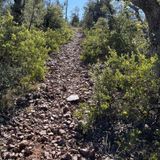 Oak Spring Trail, Arizona - 124 Reviews, Map
