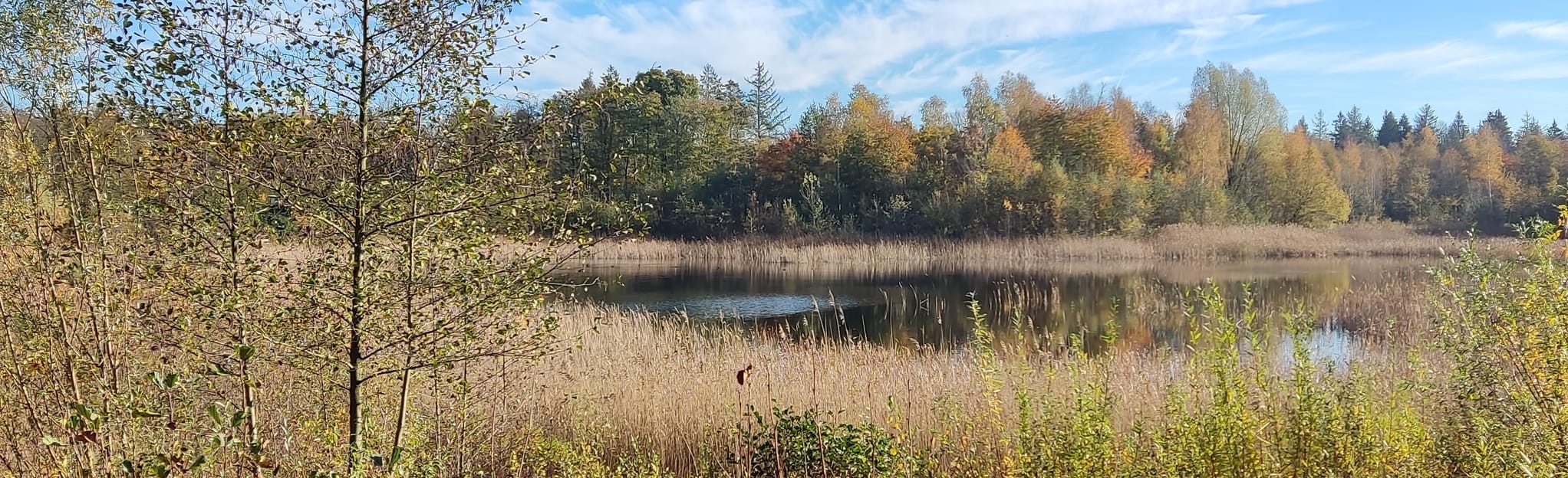 Kuinderbos Rondje Ven, Flevoland, Netherlands - 8 Reviews, Map | AllTrails
