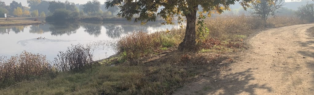 Ceres River Bluff Regional Park