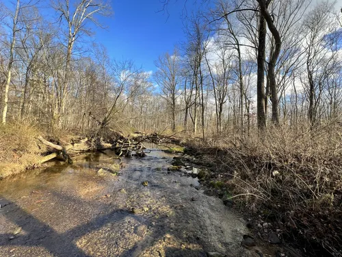 Best Hikes and Trails in Pohatcong Creek Natural Area | AllTrails