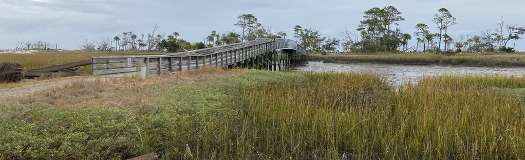 are dogs allowed at cedar island sc