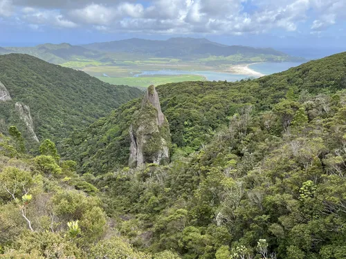 10 Best Forest Trails in Aotea Conservation Park AllTrails