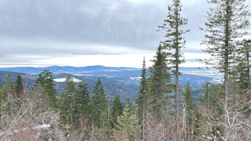 Best 10 Hikes and Trails in Mount Spokane State Park | AllTrails