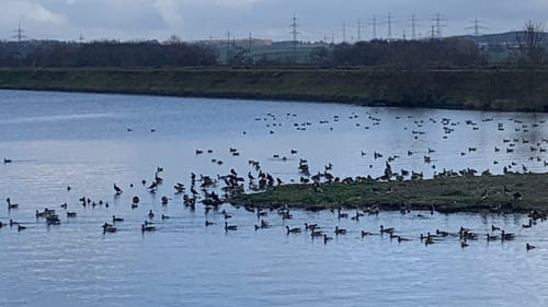 Neufinsing - Speichersee