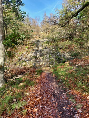 Auf dem Felsenweg in die Mörschieder Burr