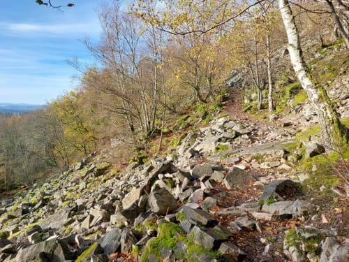 Auf dem Felsenweg in die Mörschieder Burr