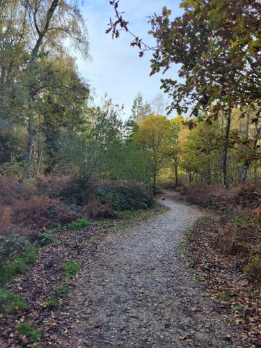 Best Hikes and Trails in Oakley Wood Nature Reserve | AllTrails