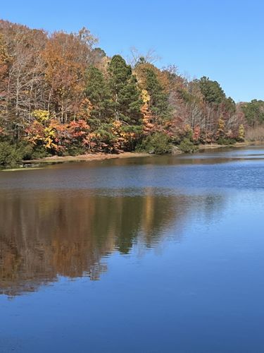 2023 Best 10 Trails And Hikes In Hampton | AllTrails