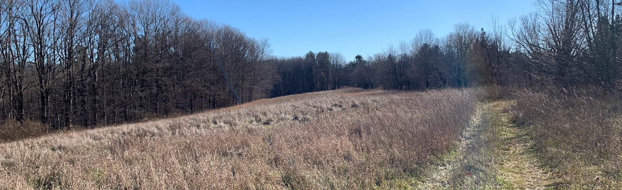 High Ridge Wildlife Management Area 154 Reviews, Map Massachusetts AllTrails