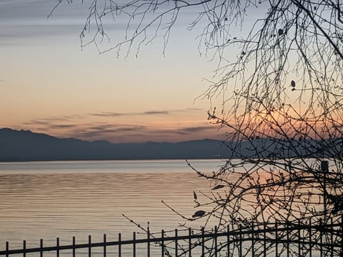 Rheinradweg (D-Route 8): Lochau-Kressbronn