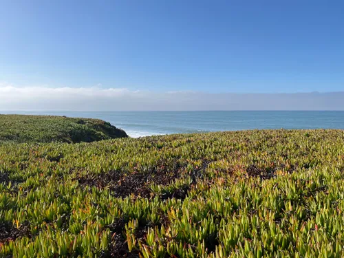 Bay Area Outdoors: Discover 7 hidden beaches from Half Moon Bay to