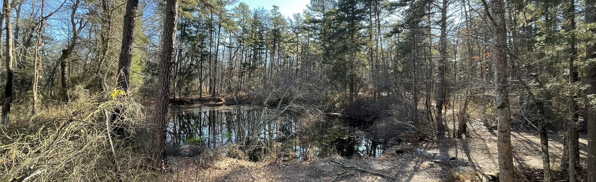 Blue Hole 31 Reviews, Map New Jersey AllTrails