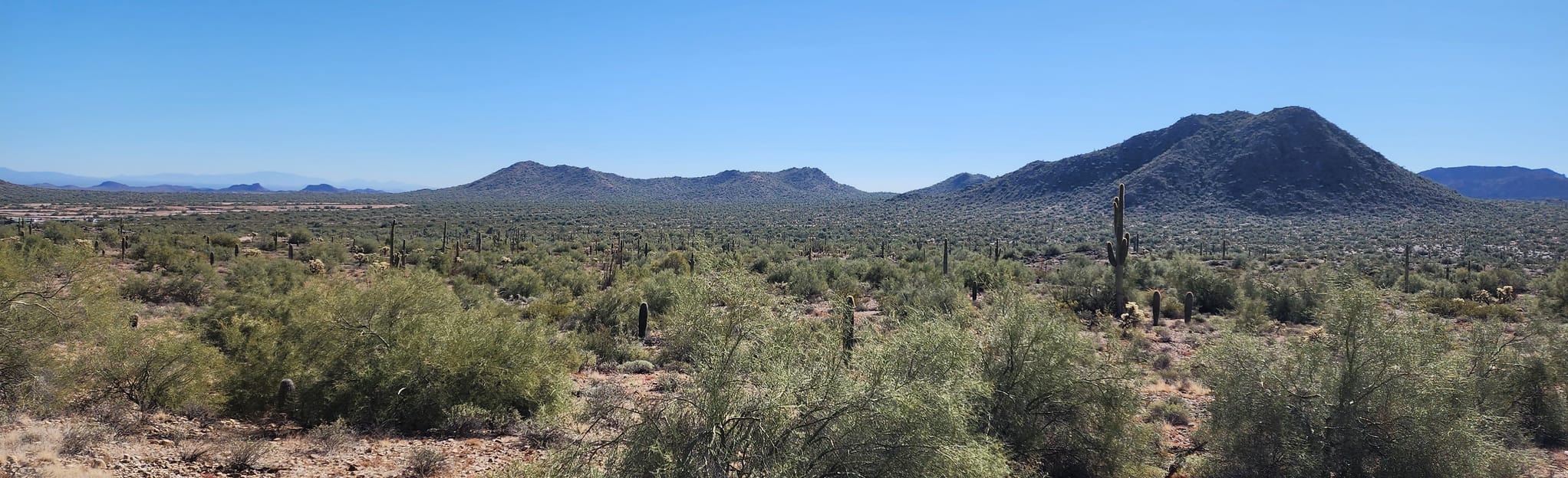 San Tan, Moonlight, Goldmine Loop 370 Reviews, Map Arizona AllTrails