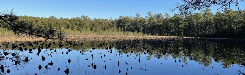 Explore the Scenic Beauty of Batona Trail