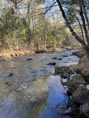 Best Hikes and Trails in Squannacook River Wildlife Management Area ...