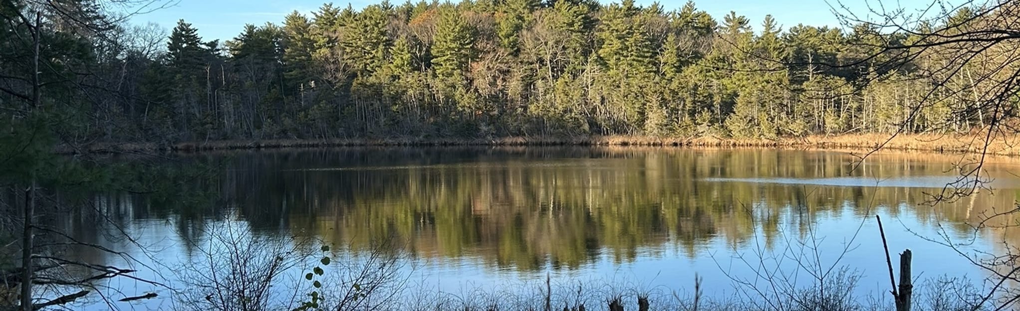 Cedar Pond Loop Map, Guide Massachusetts AllTrails