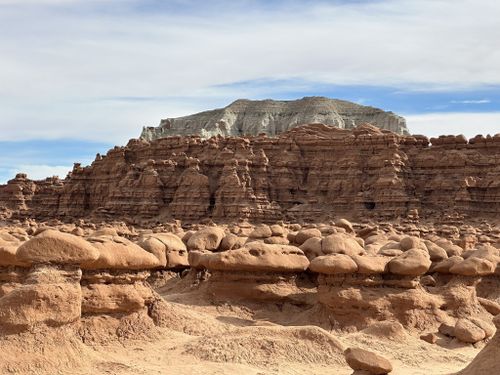 does goblin valley allow dogs