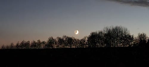 Felder und Wälder bei Buch am Erlbach