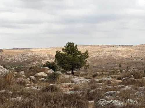 neot kedumim biblical landscape reserve