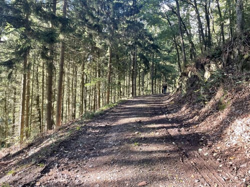 Berescheid: Edelkrebspfad im Schafbachtal