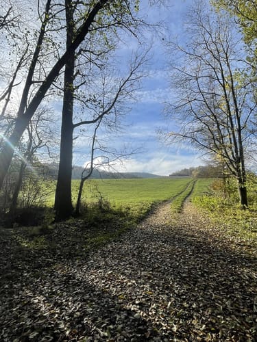 Von Wildbad nach Steinach b. Rothenburg o. d. T.