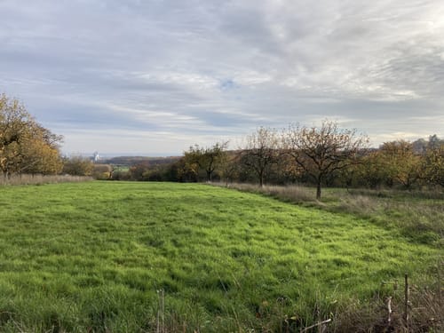 Bad Soden am Taunus Runde