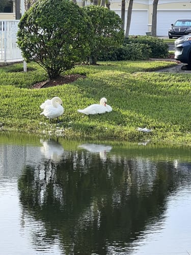 Best Hikes and Trails in Manatee Sanctuary Park | AllTrails