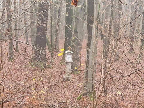 Parsberg - Kalvarienberg Runde
