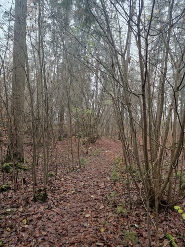 Parsberg - Kalvarienberg Runde