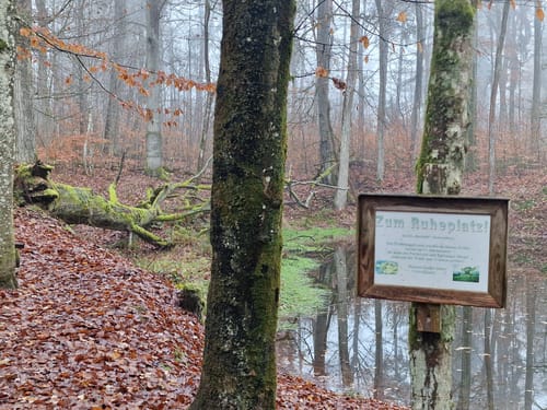 Parsberg - Kalvarienberg Runde