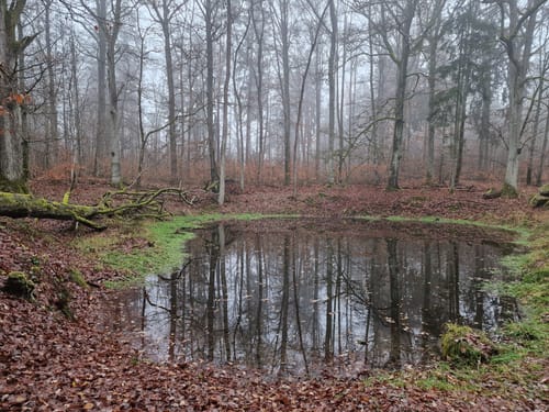 Parsberg - Kalvarienberg Runde