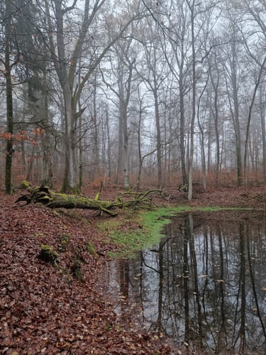 Parsberg - Kalvarienberg Runde
