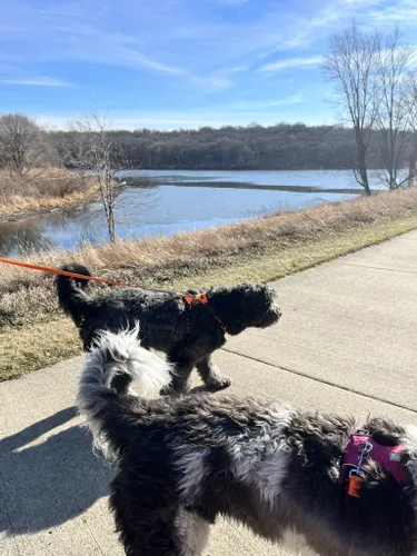 Escape to the Wild: A Journey to Iowa's Yellow Smoke State Park