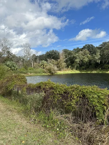 Willow Pond Nature Trail, Florida - 145 Reviews, Map